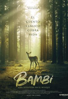 Bambi